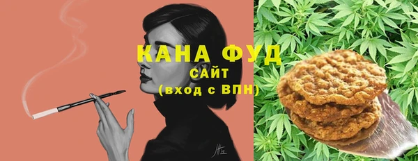 гашик Жердевка