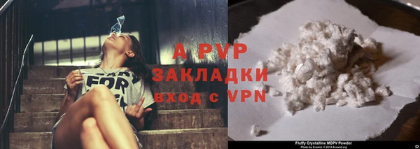 гашик Жердевка