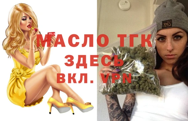 гашик Жердевка