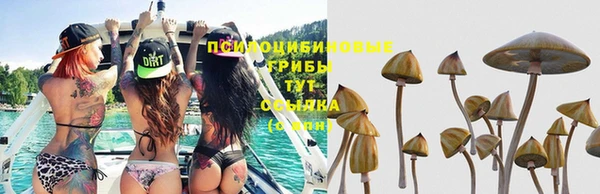 мет Северо-Курильск