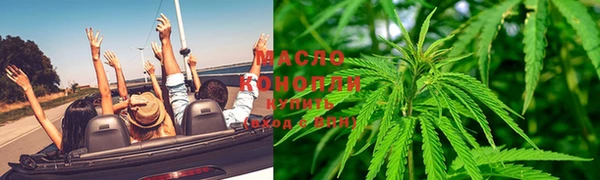 гашик Жердевка