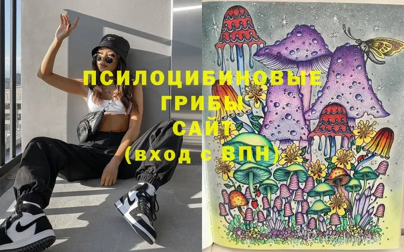 Псилоцибиновые грибы MAGIC MUSHROOMS  omg как войти  Зея 